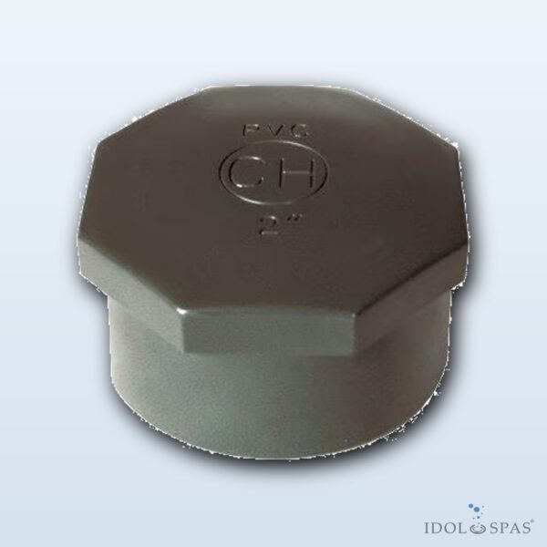 PVC fitting - Plug 1" int.