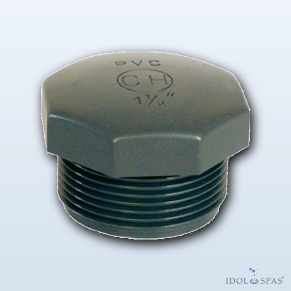 PVC fitting - Plug 2" ext.
