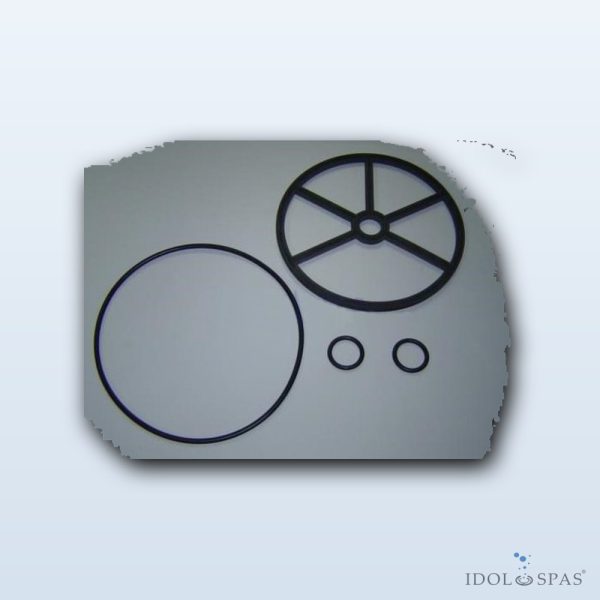 6-Way Valve Seal 07444 2" Including Shaft Seals - Obrázek 2