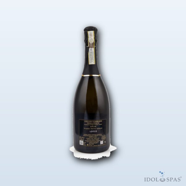 Canadian Spa International Conegliano Valdobbiadene Prosecco Superiore Extra Dry DOCG (6× 0,75 l, 11,5 %) - Obrázek 3
