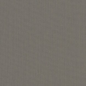 Evo Step - Image 8