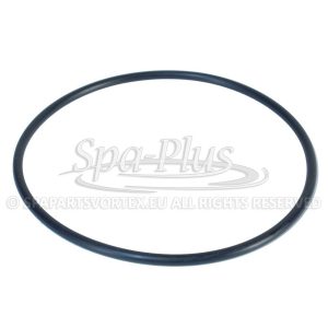 2 inch Union O-Ring