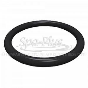 1 inch Union O-Ring