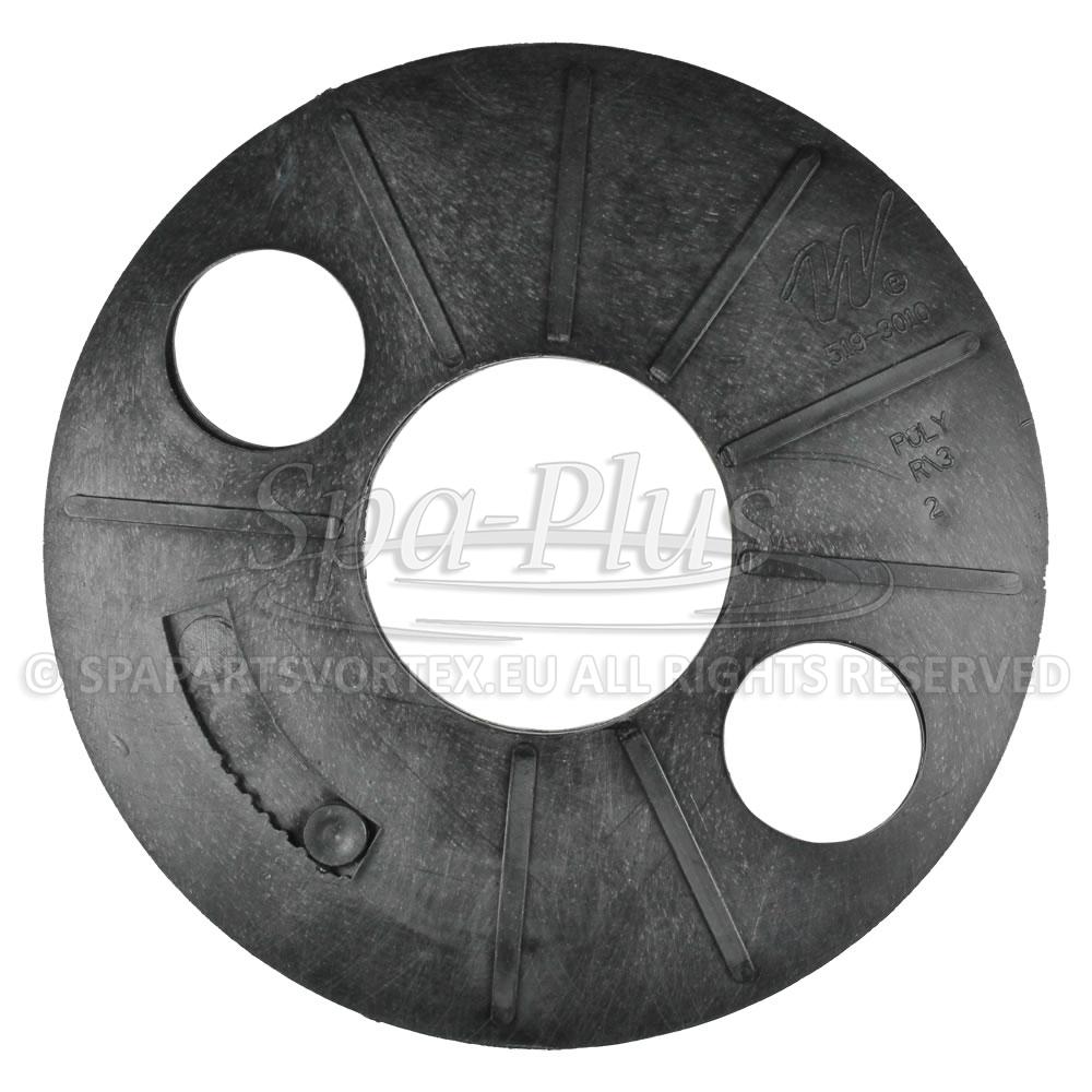 Waterway Filtration Diverter Plate