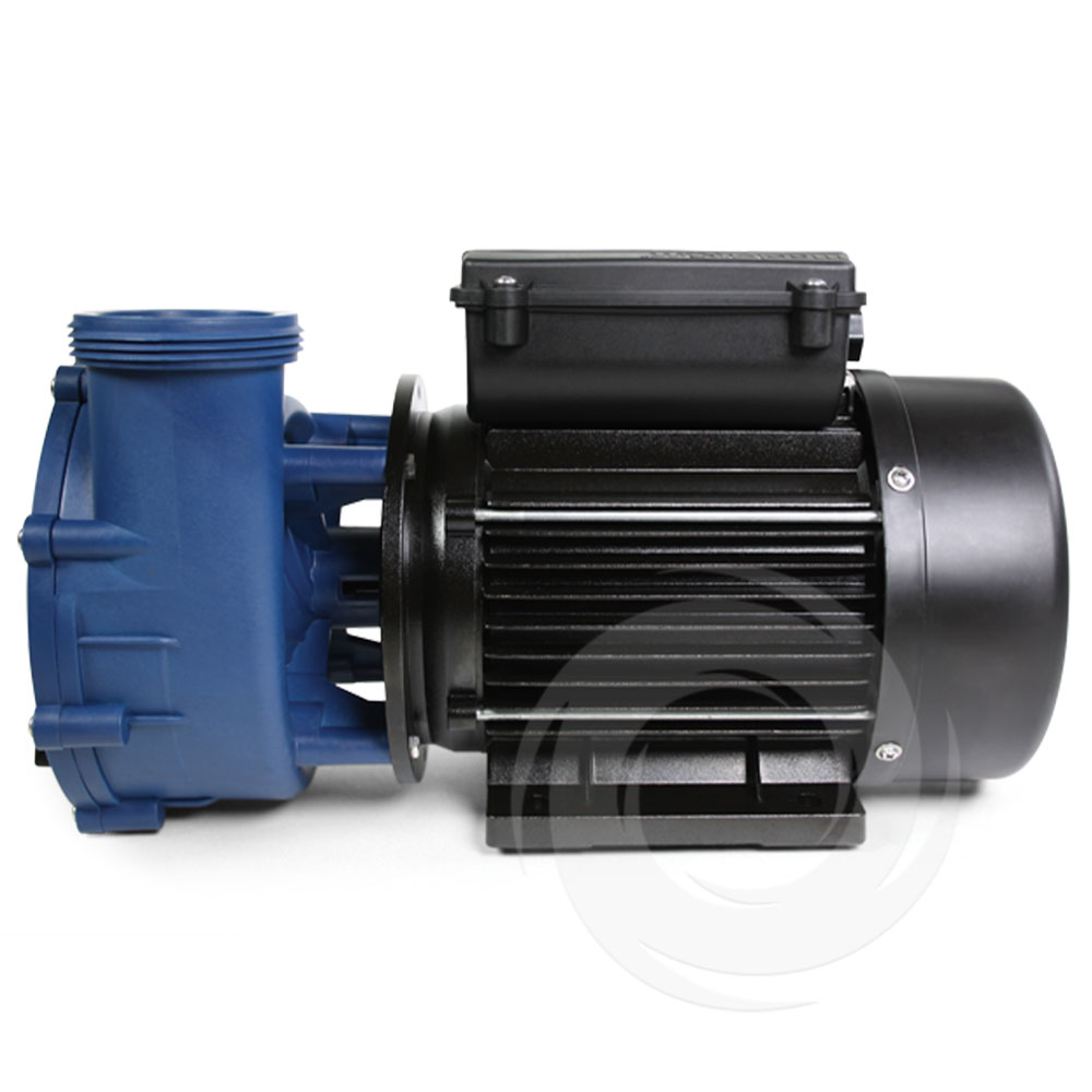 Gecko Maelstrom MS-1 2SPD 2.5HP Pump - Image 2