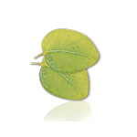 Camylle Voile de Sauna - Eucalyptus
