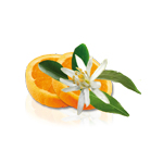 Camylle Voile de Sauna - Fleur d'Oranger