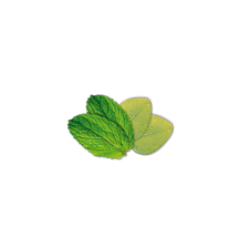 Camylle Velours de Spa - Eucalyptus / Menthe - Obrázek 2