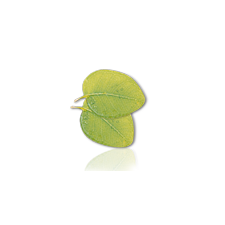 Camylle Velours de Spa - Eucalyptus - Obrázek 2